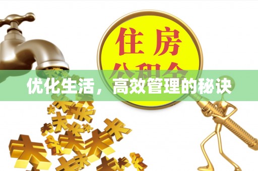乐东优化生活，高效管理的秘诀