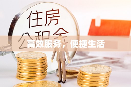 乐东高效服务，便捷生活