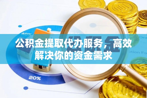 乐东公积金提取代办服务，高效解决你的资金需求