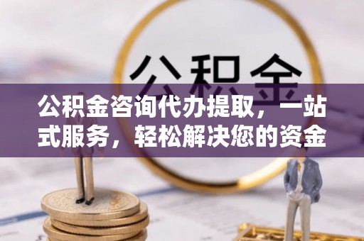 乐东公积金咨询代办提取，一站式服务，轻松解决您的资金需求