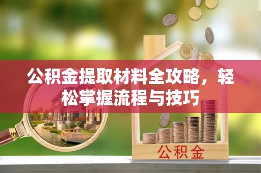 乐东公积金提取材料全攻略，轻松掌握流程与技巧