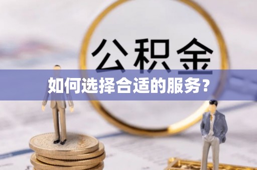 乐东如何选择合适的服务？