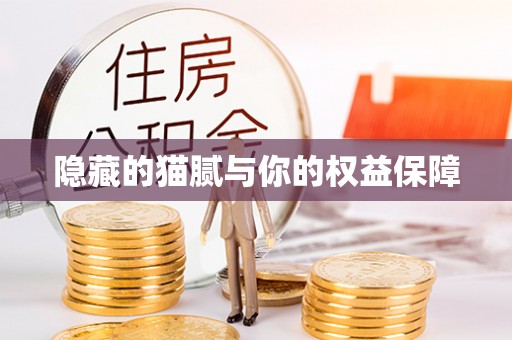 乐东隐藏的猫腻与你的权益保障