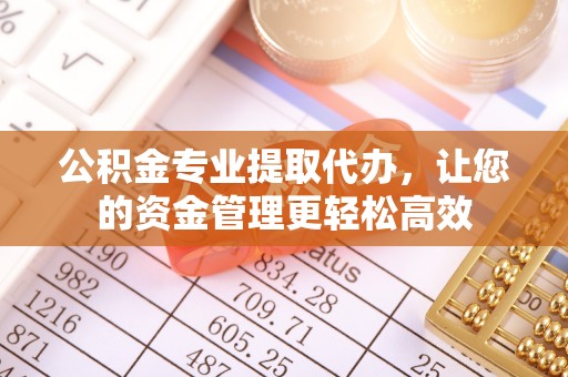 乐东公积金专业提取代办，让您的资金管理更轻松高效