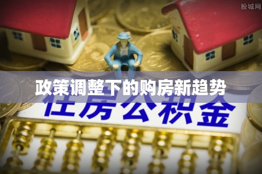 乐东政策调整下的购房新趋势