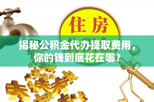 乐东揭秘公积金代办提取费用，你的钱到底花在哪？