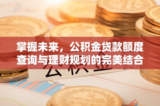乐东掌握未来，公积金贷款额度查询与理财规划的完美结合