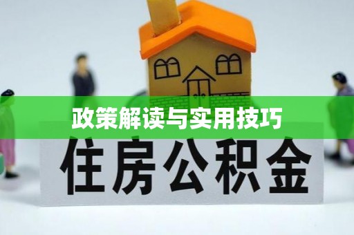 乐东政策解读与实用技巧