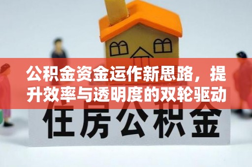乐东公积金资金运作新思路，提升效率与透明度的双轮驱动
