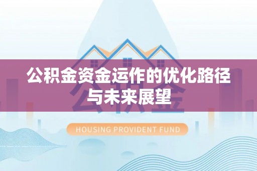 乐东公积金资金运作的优化路径与未来展望