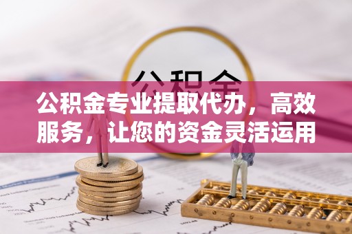 乐东公积金专业提取代办，高效服务，让您的资金灵活运用