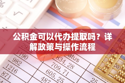 乐东公积金可以代办提取吗？详解政策与操作流程