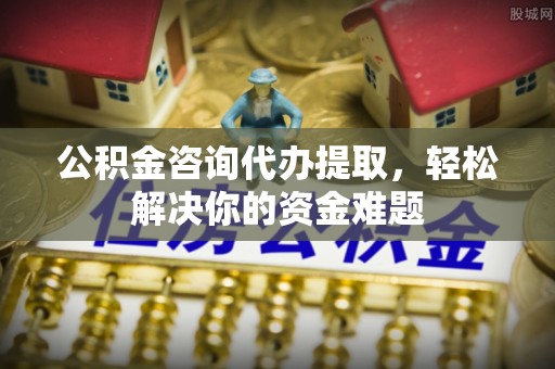 乐东公积金咨询代办提取，轻松解决你的资金难题