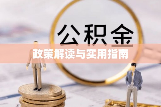 乐东政策解读与实用指南