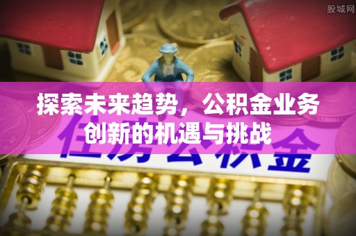 乐东探索未来趋势，公积金业务创新的机遇与挑战