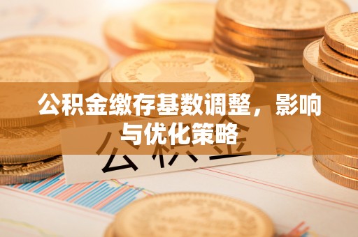 乐东公积金缴存基数调整，影响与优化策略