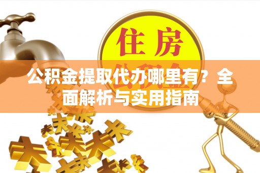 乐东公积金提取代办哪里有？全面解析与实用指南