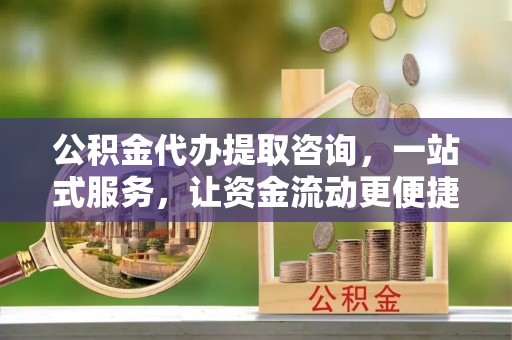乐东公积金代办提取咨询，一站式服务，让资金流动更便捷