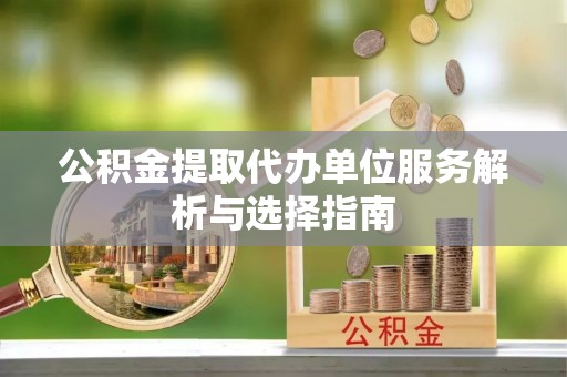 乐东公积金提取代办单位服务解析与选择指南