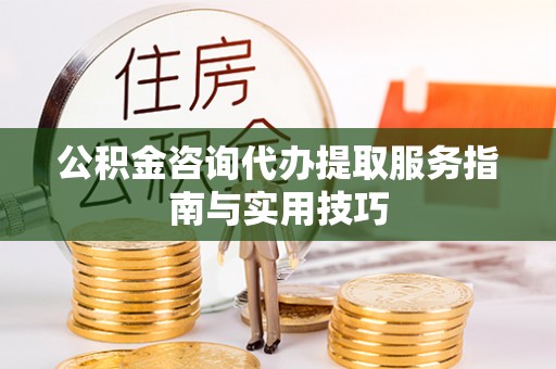 乐东公积金咨询代办提取服务指南与实用技巧