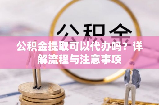 乐东公积金提取可以代办吗？详解流程与注意事项