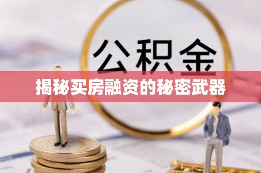 乐东揭秘买房融资的秘密武器