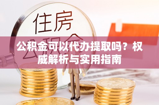乐东公积金可以代办提取吗？权威解析与实用指南