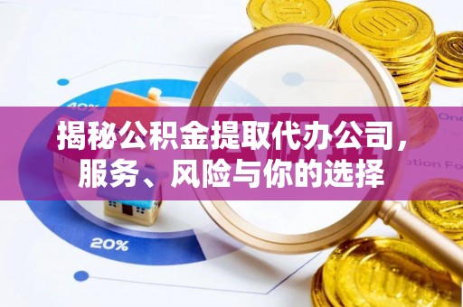 乐东揭秘公积金提取代办公司，服务、风险与你的选择