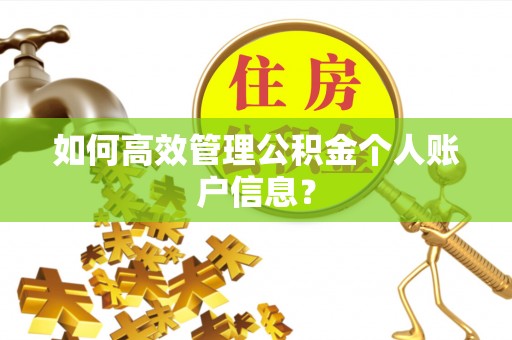 乐东如何高效管理公积金个人账户信息？