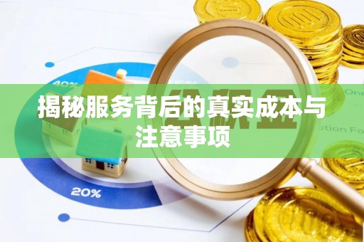 乐东揭秘服务背后的真实成本与注意事项