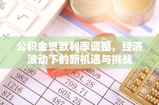 乐东公积金贷款利率调整，经济波动下的新机遇与挑战