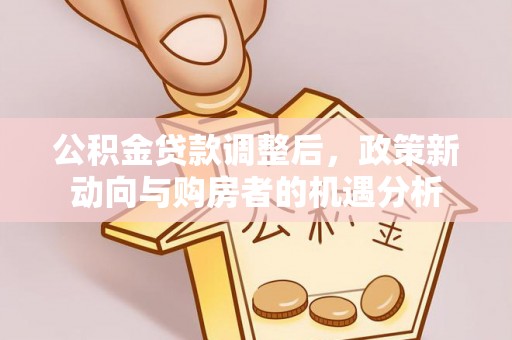 乐东公积金贷款调整后，政策新动向与购房者的机遇分析