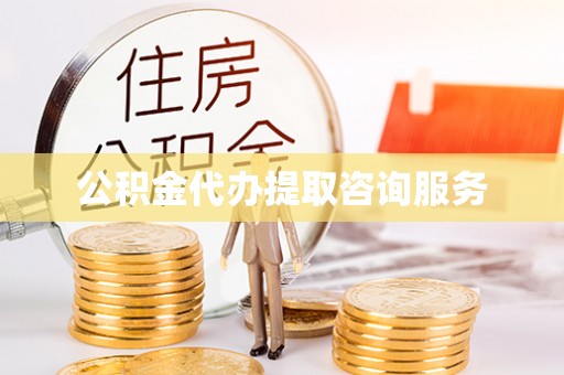 乐东公积金代办提取咨询服务