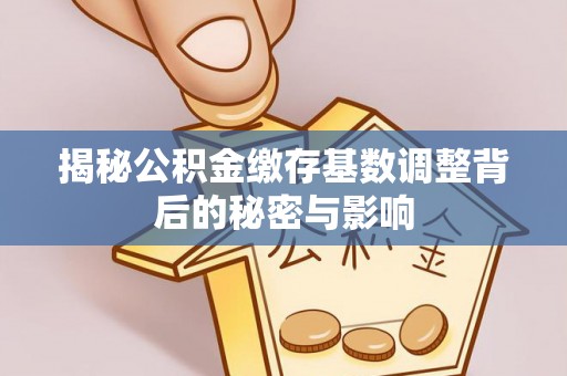 乐东揭秘公积金缴存基数调整背后的秘密与影响