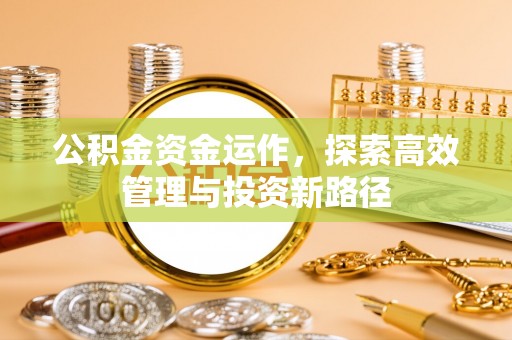 乐东公积金资金运作，探索高效管理与投资新路径