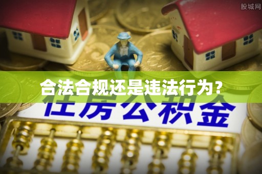 乐东合法合规还是违法行为？
