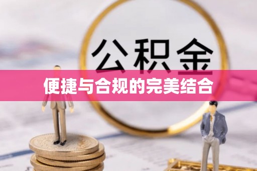 乐东便捷与合规的完美结合