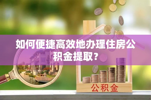 乐东如何便捷高效地办理住房公积金提取？