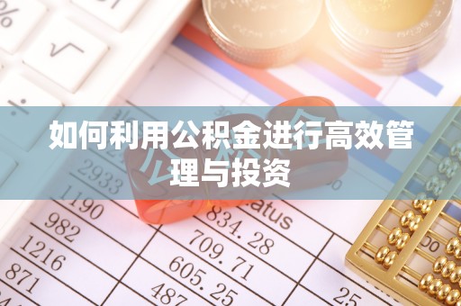 乐东如何利用公积金进行高效管理与投资