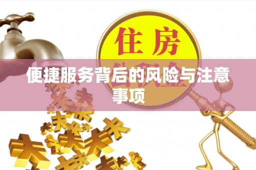 乐东便捷服务背后的风险与注意事项