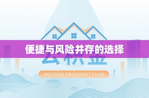 乐东便捷与风险并存的选择