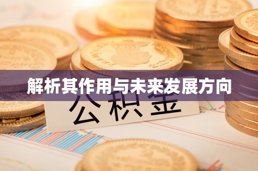 乐东解析其作用与未来发展方向