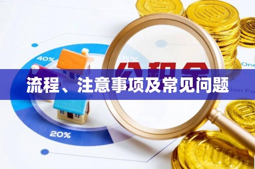 乐东流程、注意事项及常见问题