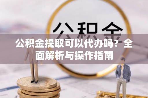 乐东公积金提取可以代办吗？全面解析与操作指南