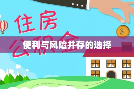 乐东便利与风险并存的选择
