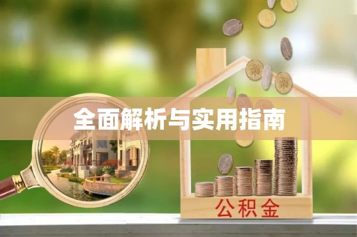 乐东全面解析与实用指南