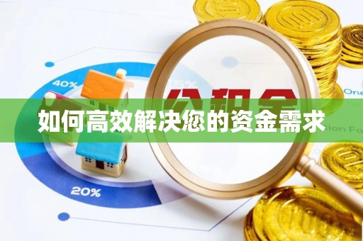 乐东如何高效解决您的资金需求