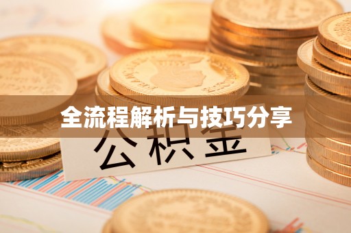 乐东全流程解析与技巧分享