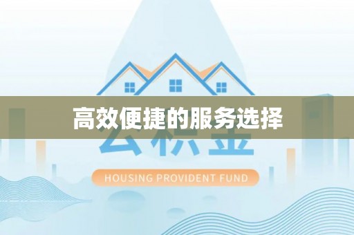 乐东高效便捷的服务选择