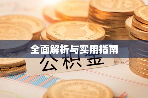乐东全面解析与实用指南